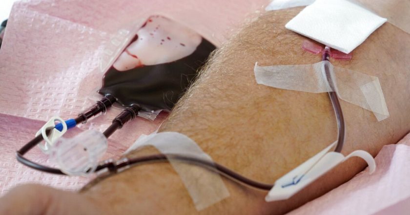 Japonya'da genç bağışçı sayısındaki azalma nedeniyle kan stokları “alarm” yarattı