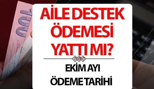 Aile nafakası ödemesi ne zaman ödenecek (Ekim 2024) | Aile destek programı uygulandı mı? Bakan Göktaş açıkladı! İşte ekim ayı aile nafakası ödeme talebi için e-Devlet ekranı!