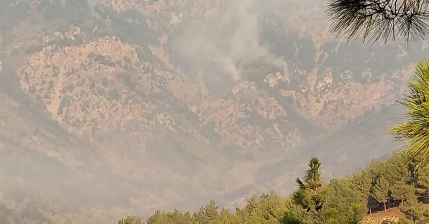 Hatay’da orman yangını: 540 kişi tahliye edildi