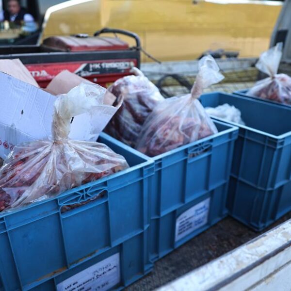 Otobüsün bagajında kaçak et depolandı